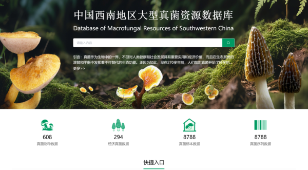 世界杯下单平台 上线! 公众可一键辩别食用菌与毒蘑菇