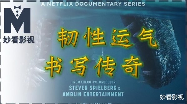 2026FIFA世界杯下单平台官网 韧性运道书写据说——《恐龙期间: 你不知说念的故事》