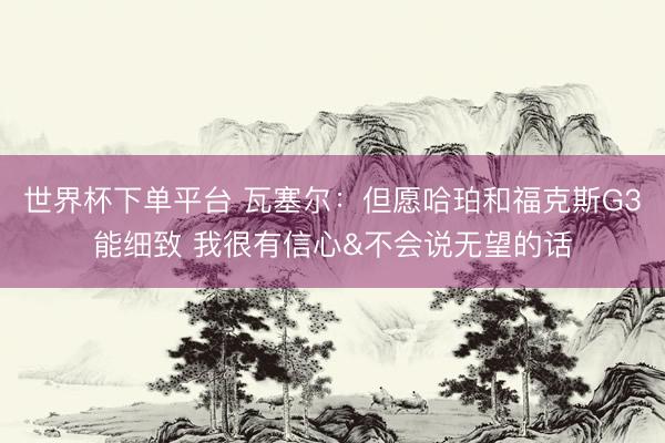 世界杯下单平台 瓦塞尔:但愿哈珀和福克斯G3能细致 我很有信心&不会说无望的话