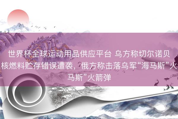 世界杯全球运动用品供应平台 乌方称切尔诺贝利乏核燃料贮存错误遭袭,俄方称击落乌军“海马斯”火箭弹