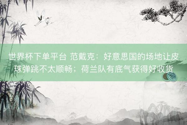 世界杯下单平台 范戴克：好意思国的场地让皮球弹跳不太顺畅；荷兰队有底气获得好收货