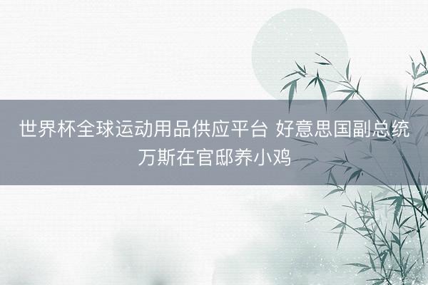 世界杯全球运动用品供应平台 好意思国副总统万斯在官邸养小鸡