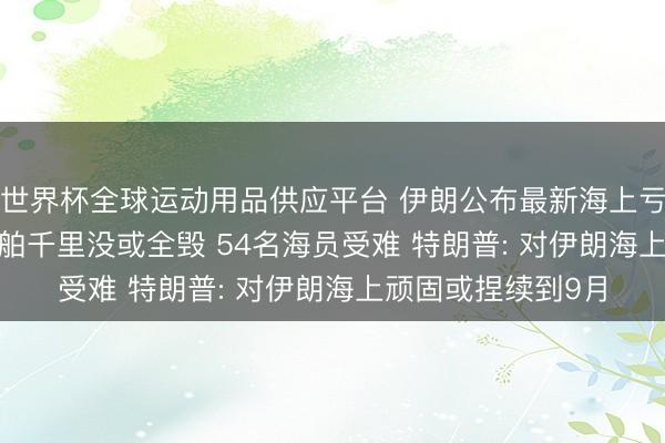 世界杯全球运动用品供应平台 伊朗公布最新海上亏蚀情况: 253艘船舶千里没或全毁 54名海员受难 特朗普: 对伊朗海上顽固或捏续到9月
