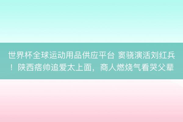 世界杯全球运动用品供应平台 窦骁演活刘红兵!陕西痞帅追爱太上面,商人燃烧气看哭父辈