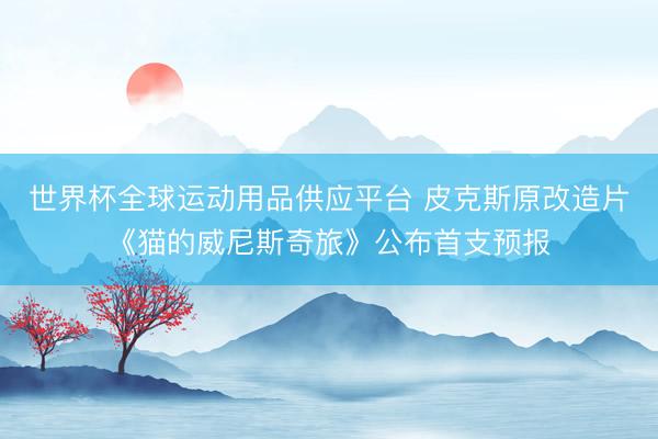 世界杯全球运动用品供应平台 皮克斯原改造片《猫的威尼斯奇旅》公布首支预报