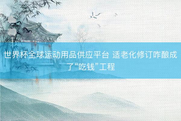 世界杯全球运动用品供应平台 适老化修订咋酿成了“吃钱”工程