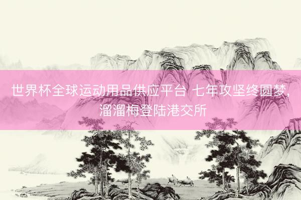 世界杯全球运动用品供应平台 七年攻坚终圆梦, 溜溜梅登陆港交所