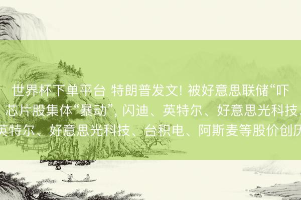 世界杯下单平台 特朗普发文! 被好意思联储“吓崩”的科技股通宵翻身， 芯片股集体“暴动”， 闪迪、英特尔、好意思光科技、台积电、阿斯麦等股价创历史新高